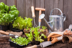 You Can Start Your Gardening in the Garage