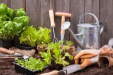 You Can Start Your Gardening in the Garage